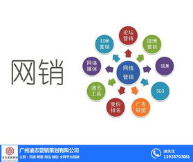 海珠區(qū)企業(yè)畫冊設(shè)計專家——凌志營銷策劃，信息系統(tǒng)集成服務(wù)優(yōu)質(zhì)商家